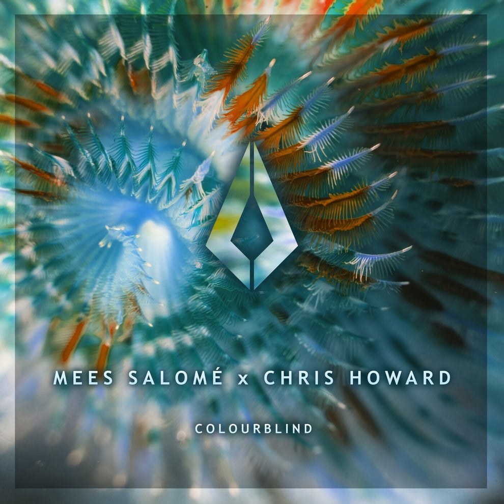 Mees Salomé  Chris Howard - Colourblind