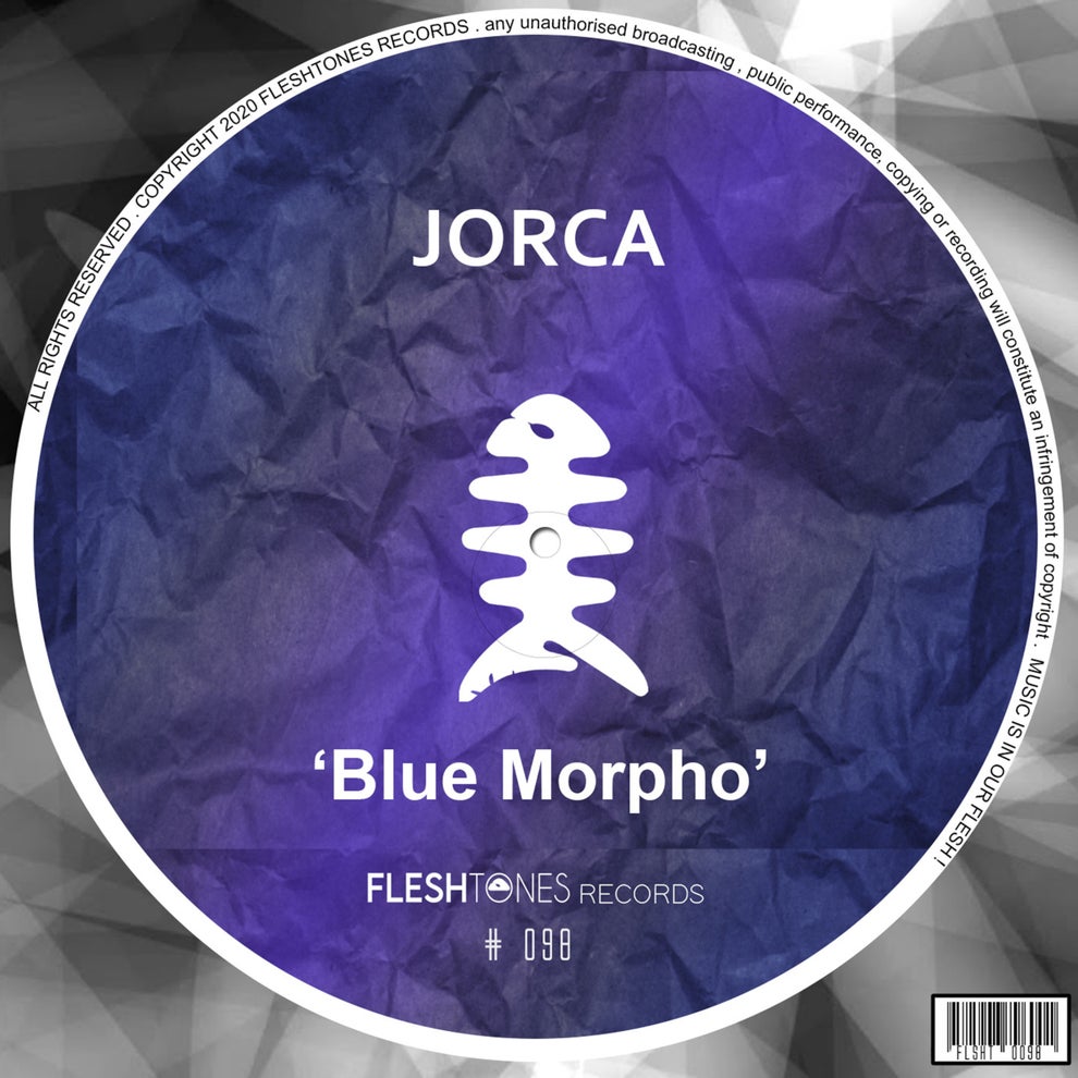 Jorca - Blue Morpho