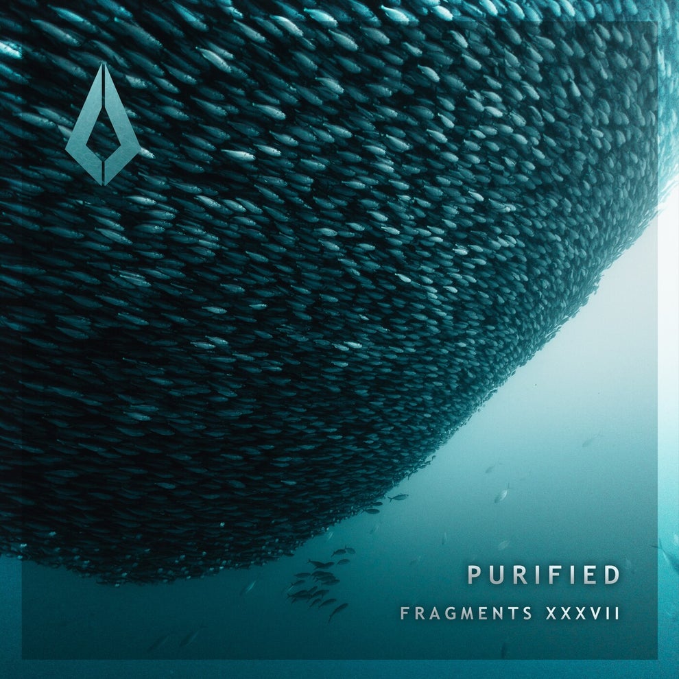 VA - Purified Fragments XXXVII