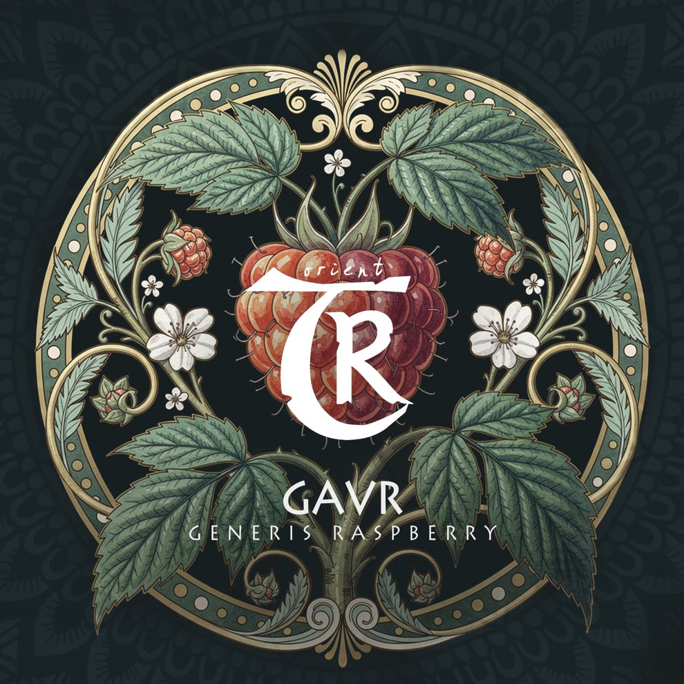 Gavr, Tibetania - Generis Raspberry