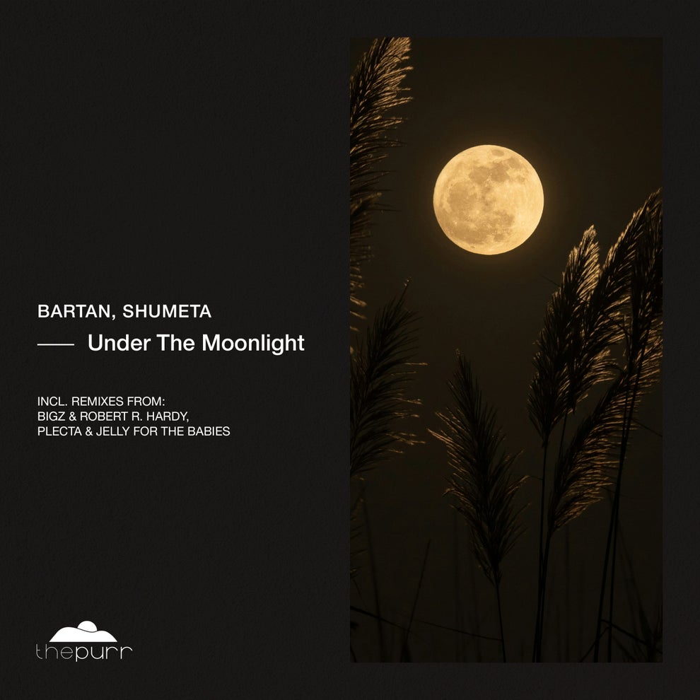 BARTAN - Under The Moonlight