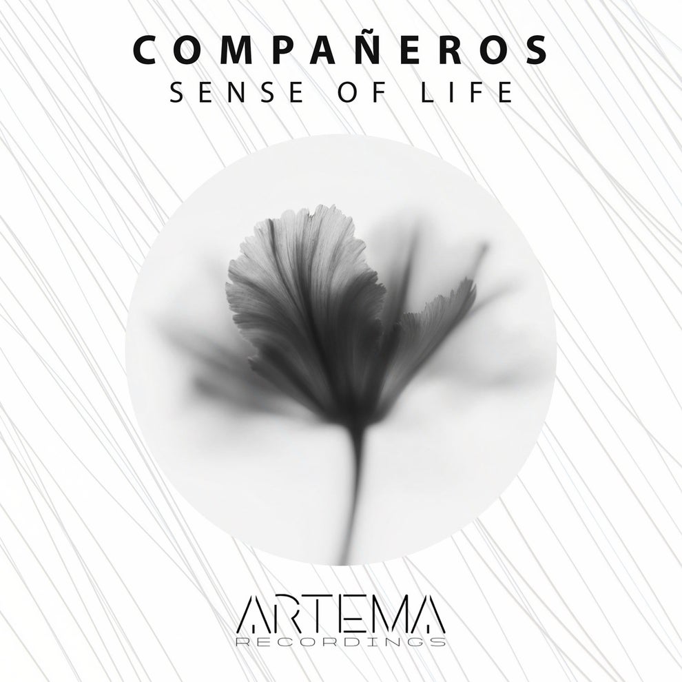 Companeros - Sense Of Life
