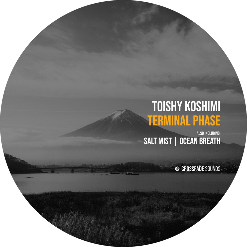 Toishy Koshimi - Terminal Phase