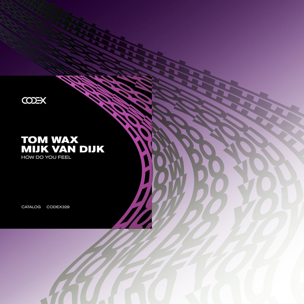 Tom Wax Mijk van Dijk - How Do You Feel