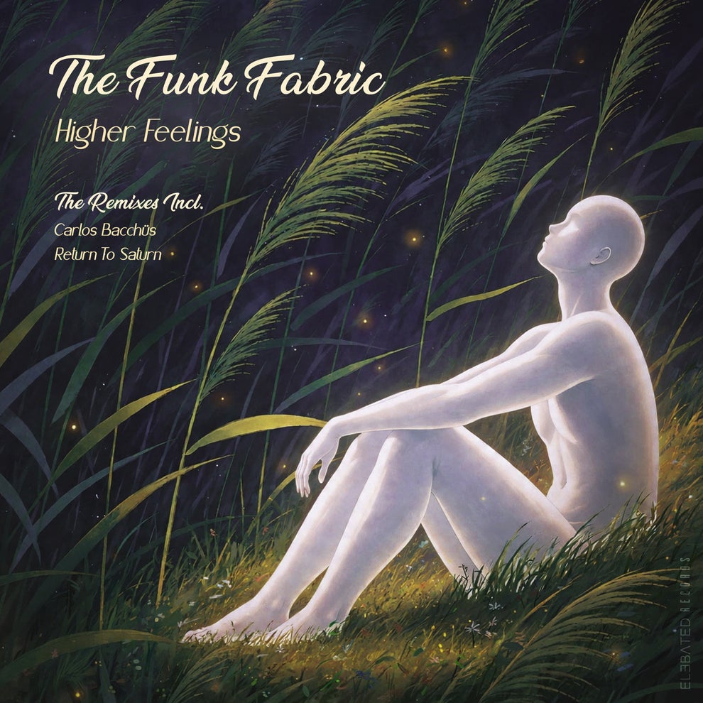 The Funk Fabric - Higher Feelings