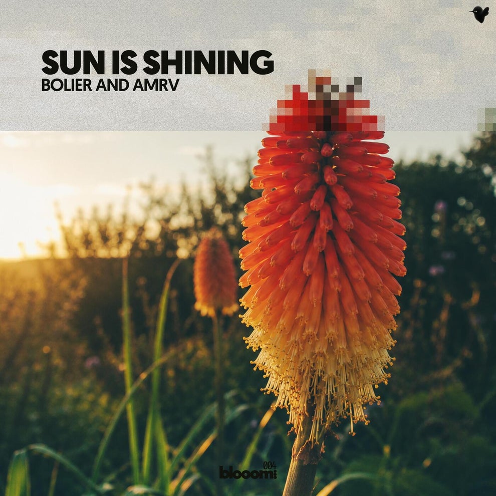 Bolier  AMRV - Sun is Shining