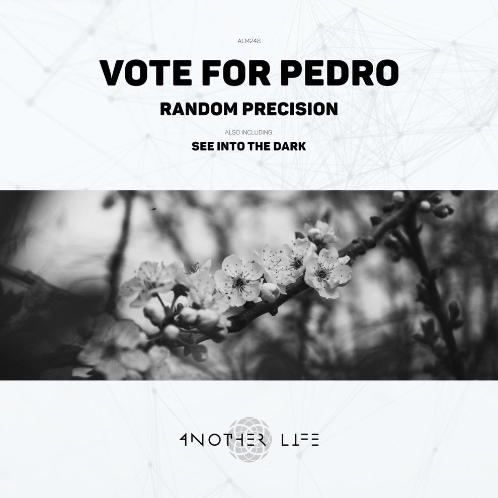 Vote For Pedro - Random Precision