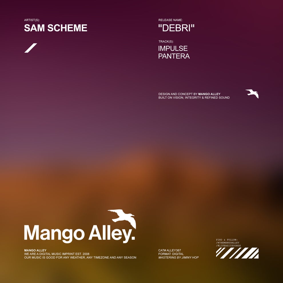 Sam Scheme - Debri