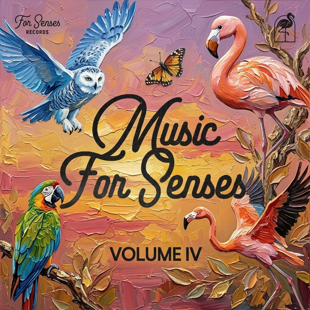 VA - Music for Senses 2026