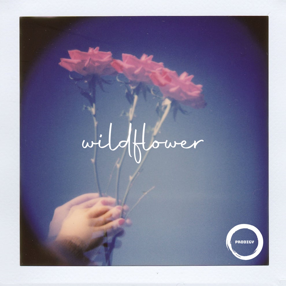 Steve Kroeger - wildflower