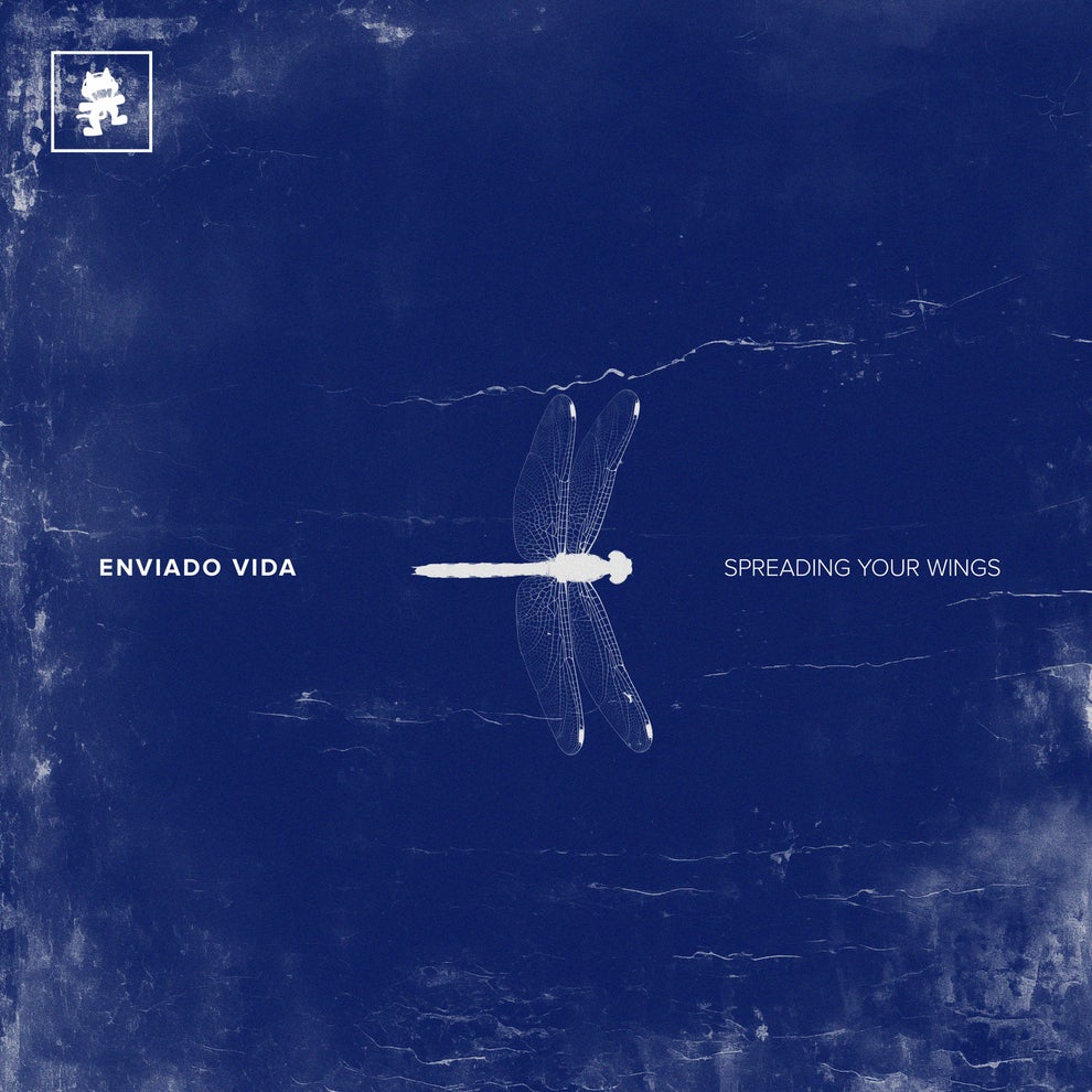 Enviado Vida - Spreading Your Wings