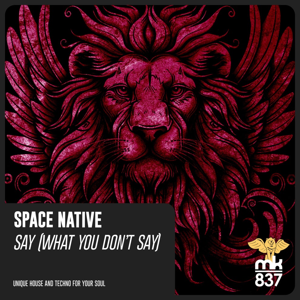 Space Native - Say (What You Don't Say)