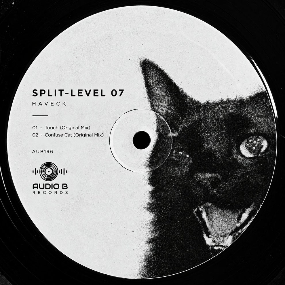Haveck - Split-Level 07