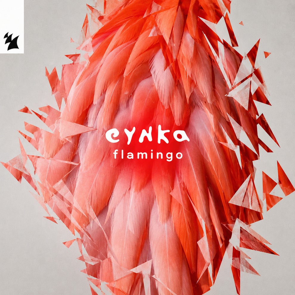 Eynka - Flamingo