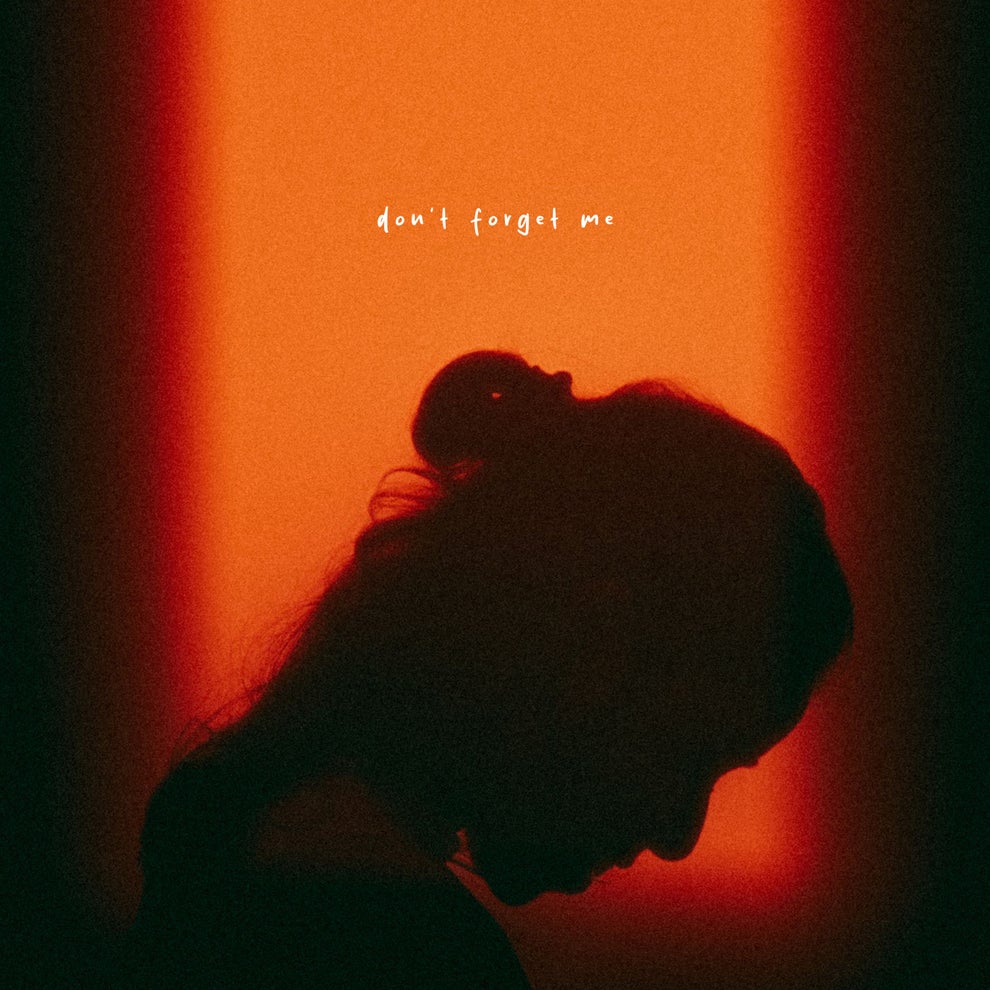 Roald Velden - Dont Forget Me