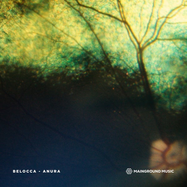Belocca - Anura
