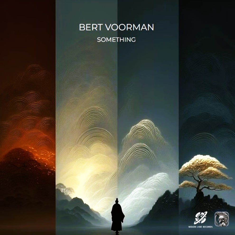 Bert Voorman - Something