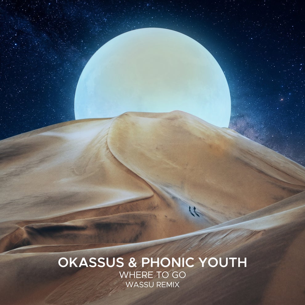 OKASSUS Phonic Youth - Where To Go (Wassu Remix)