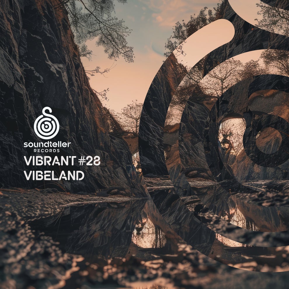VA - Vibrant Vibeland 28