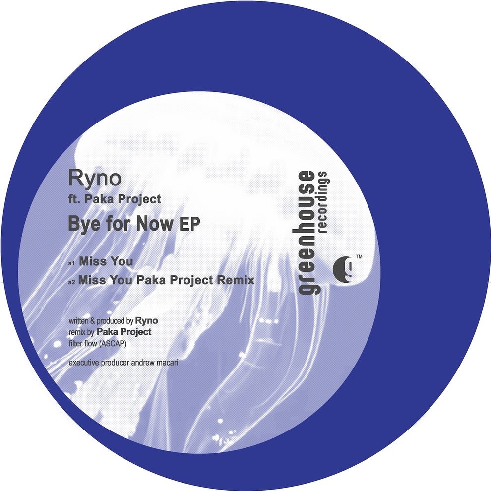 Ryno Paka Project - Bye for Now
