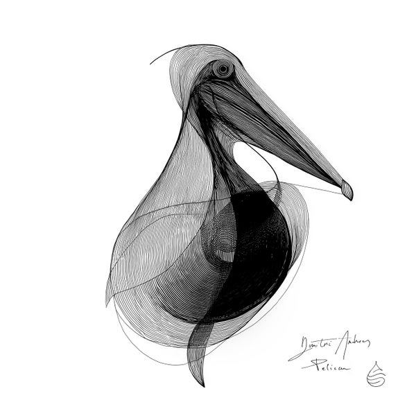 Dimitri Andreas - Pelican
