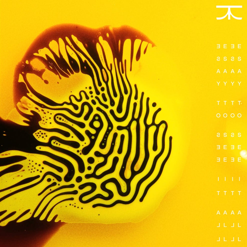 Fehrplay - Easy to see it all