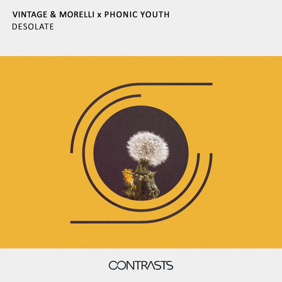 Vintage  Morelli Phonic Youth - Desolate