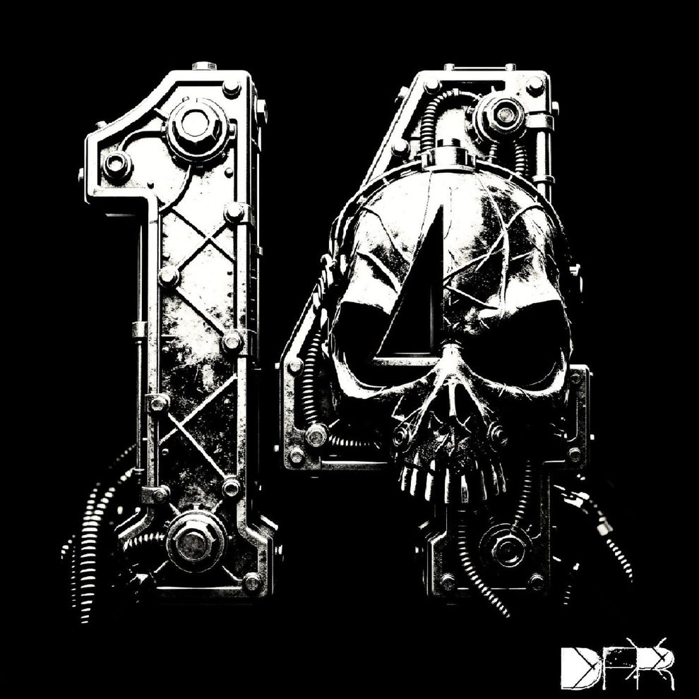 Gaga - VA - 14 Years of DFR