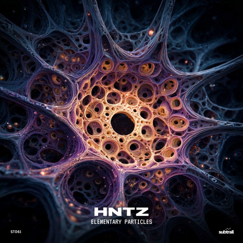 HNTZ - Elementary Particles