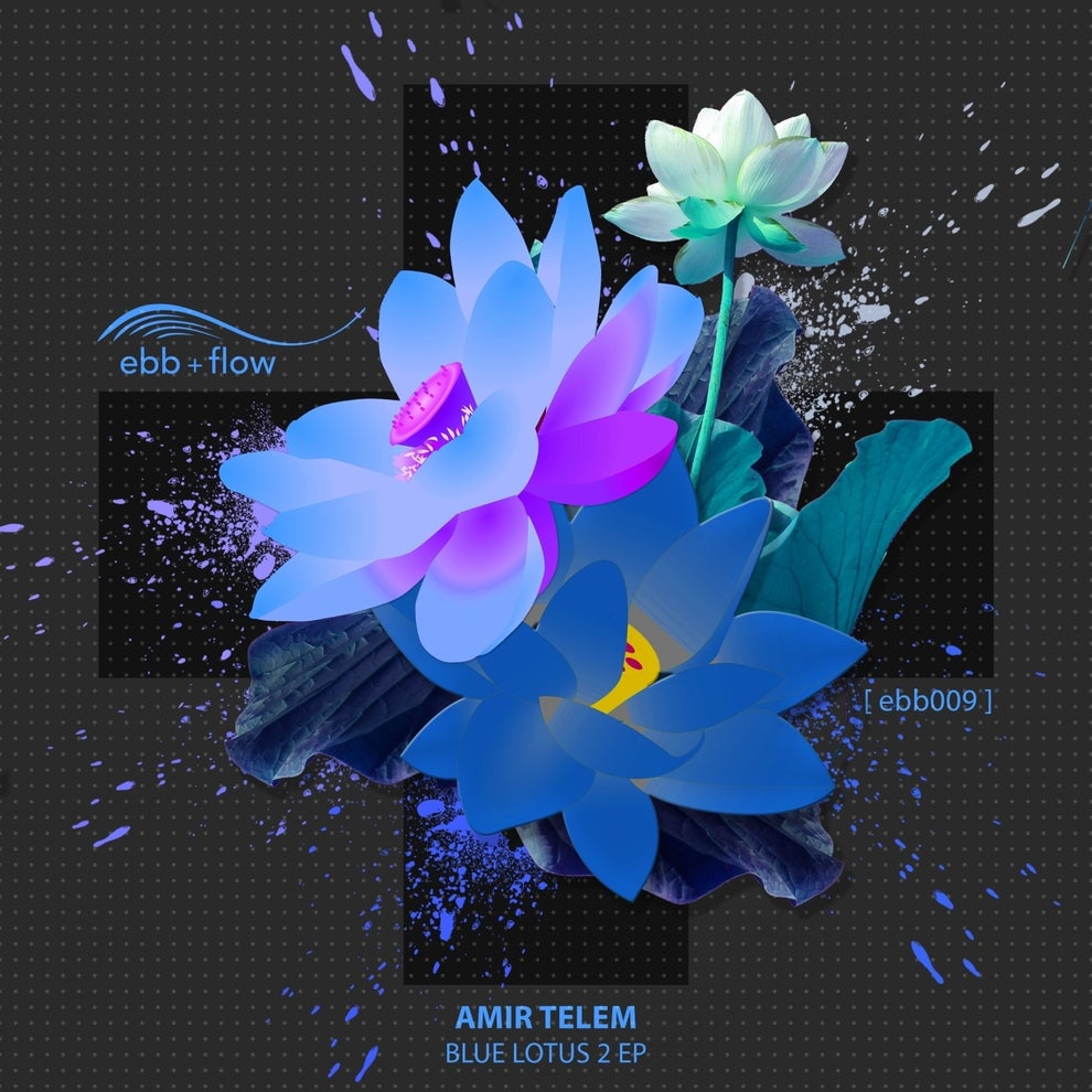 Amir Telem - Blue Lotus 2