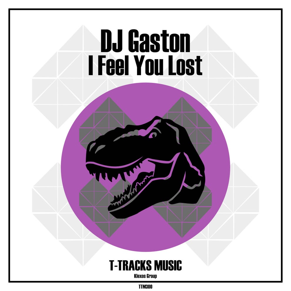 DJ Gaston - I Feel You Lost