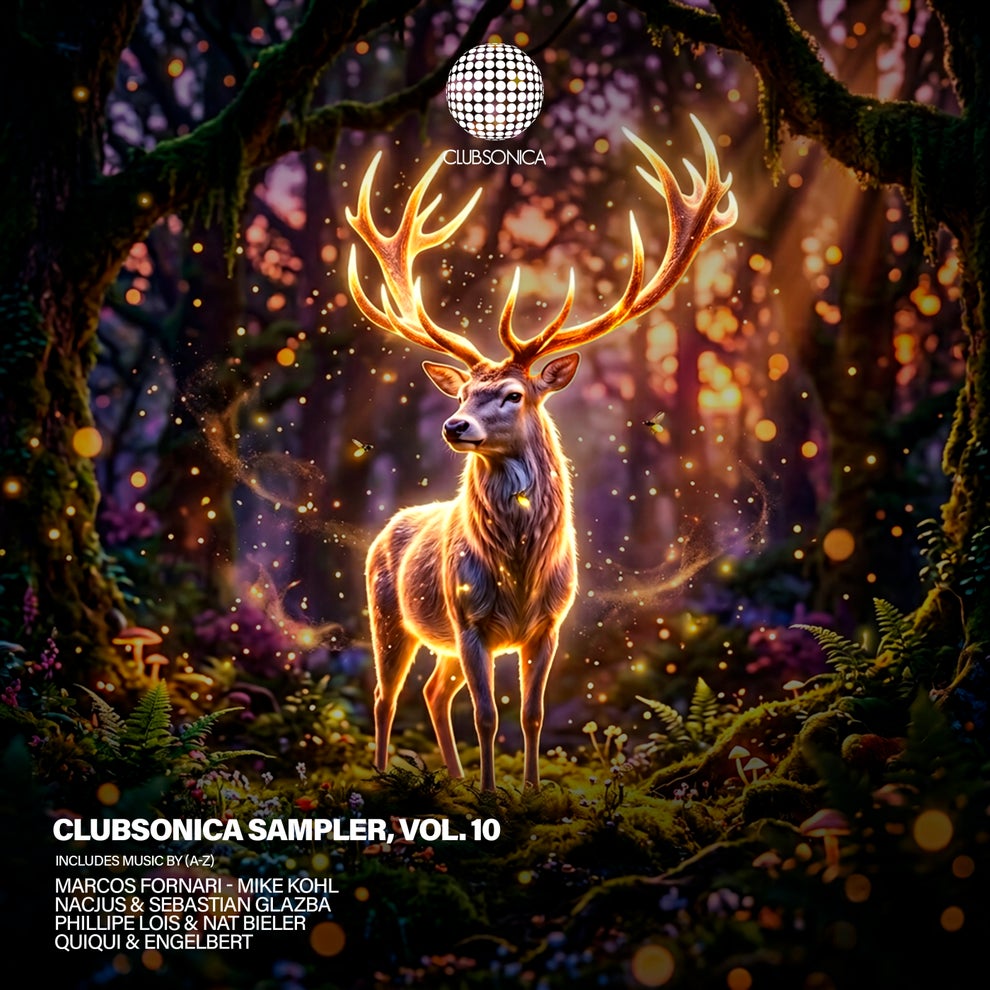 VA - Clubsonica Sampler, Vol. 10 [CLUBSONICASP010]