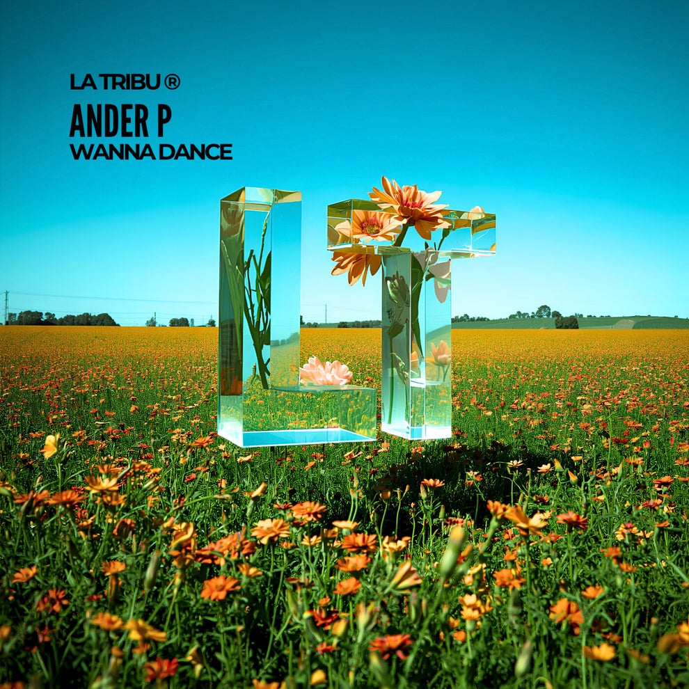 Ander P - Wanna Dance
