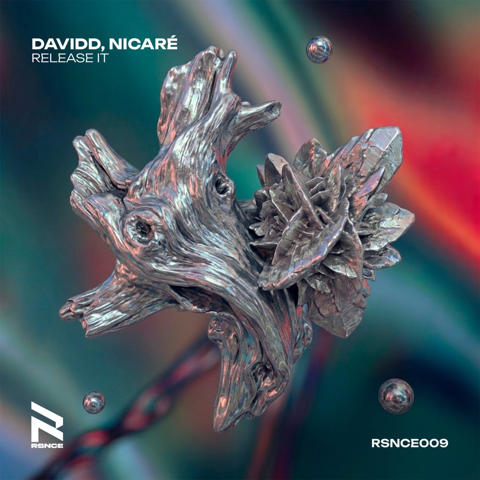DavidD Nicaré - Release It