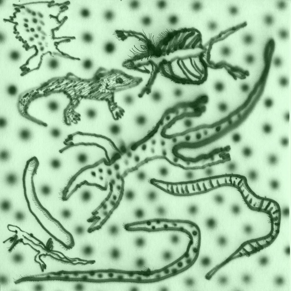 VA - List Of Lizards IV