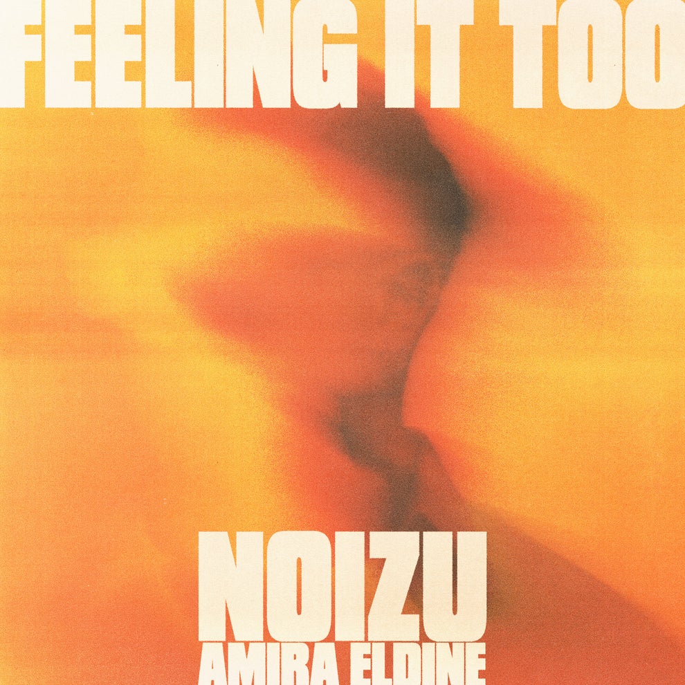 Noizu Amira Eldine - Feeling It Too