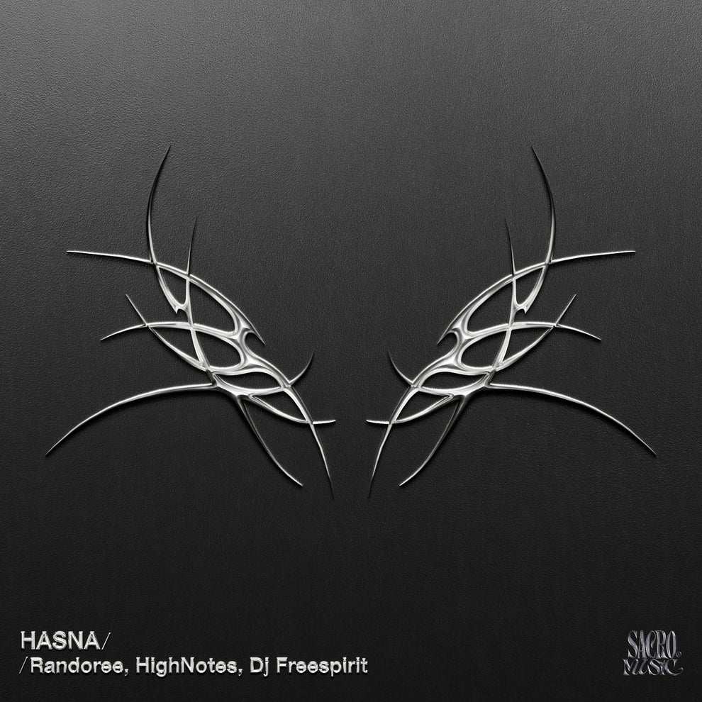 DJ Freespirit, Randoree, High Notes - Hasna