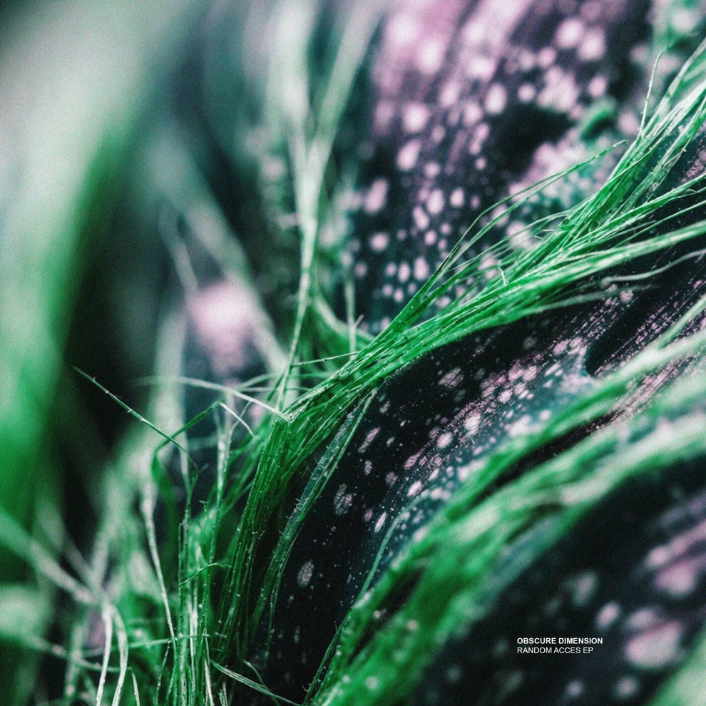 Obscure Dimension - Random Acces EP