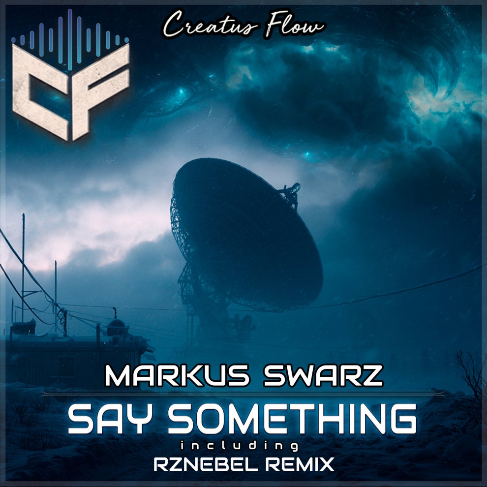 Markus Swarz - Say Something