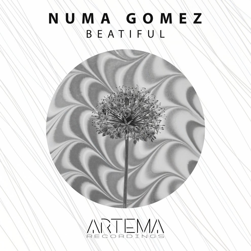 Numa Gomez - Beatiful