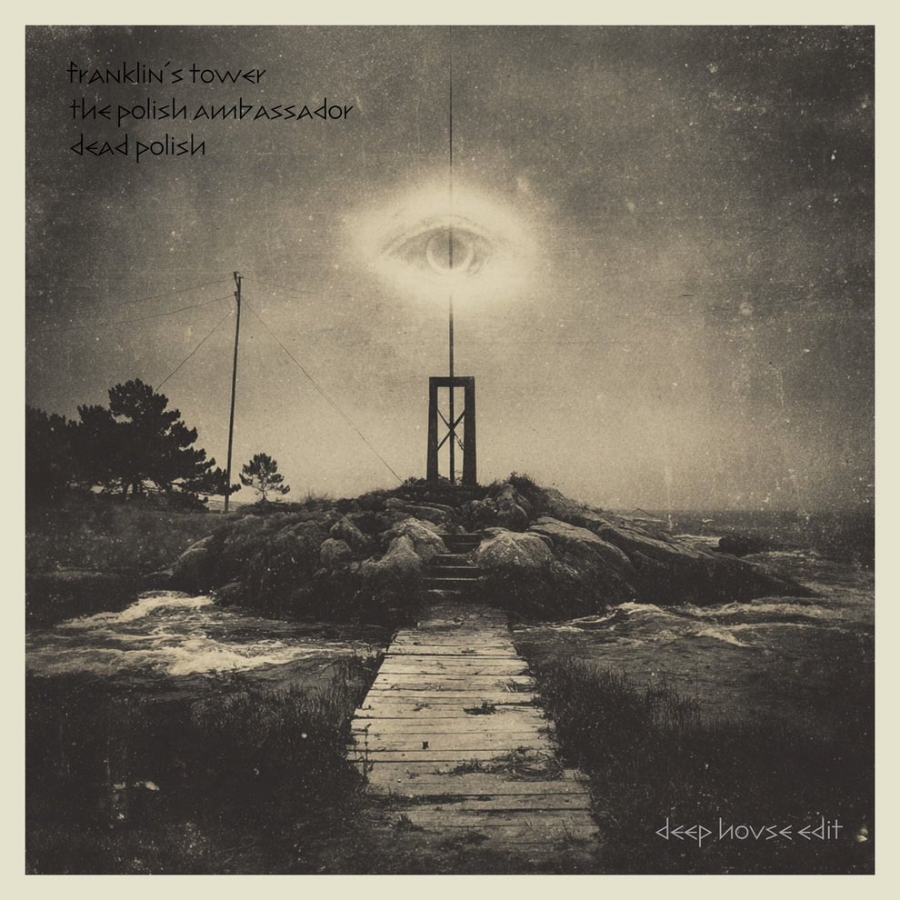 The Polish Ambassador Dead Polish - Franklins Tower (Deep House Edit)