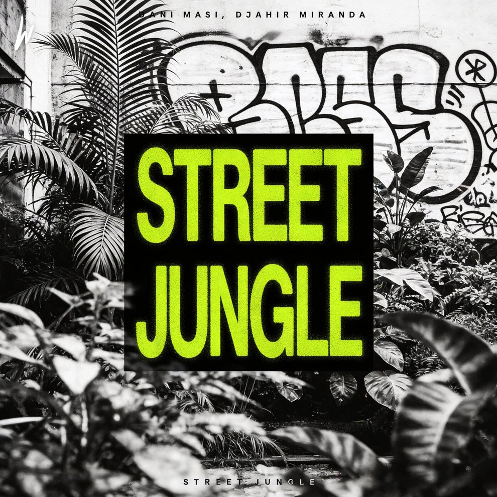 Dani Masi DJahir Miranda - Street Jungle
