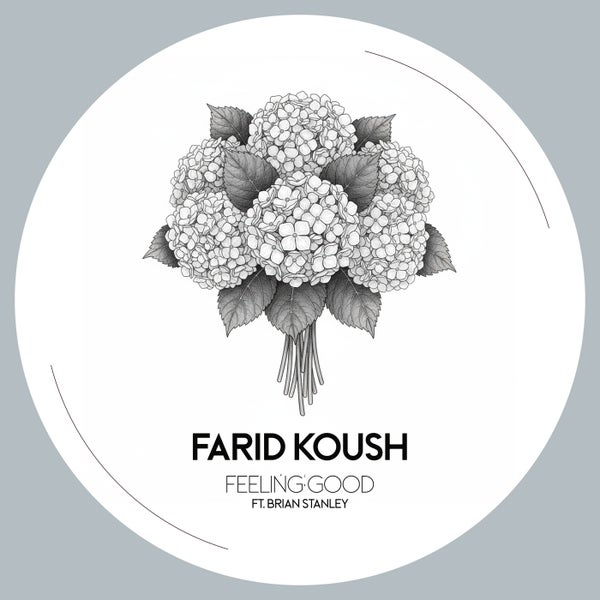 Farid Koush Brian Stanley - Feeling Good