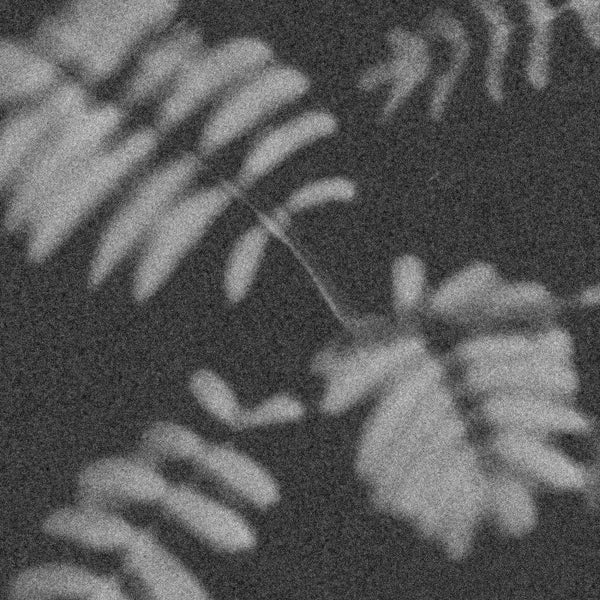 Janus Rasmussen - Doom (pølaroit Rework)