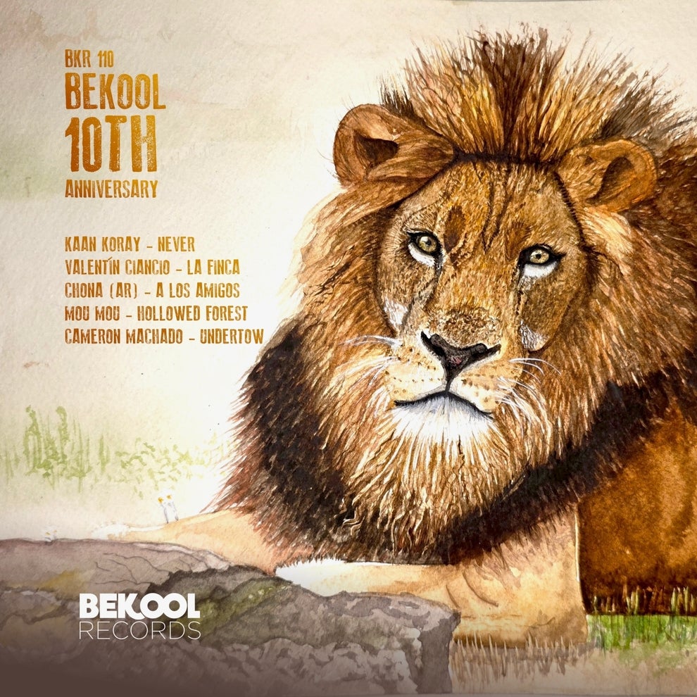 VA - BEKOOL - 10th Anniversary