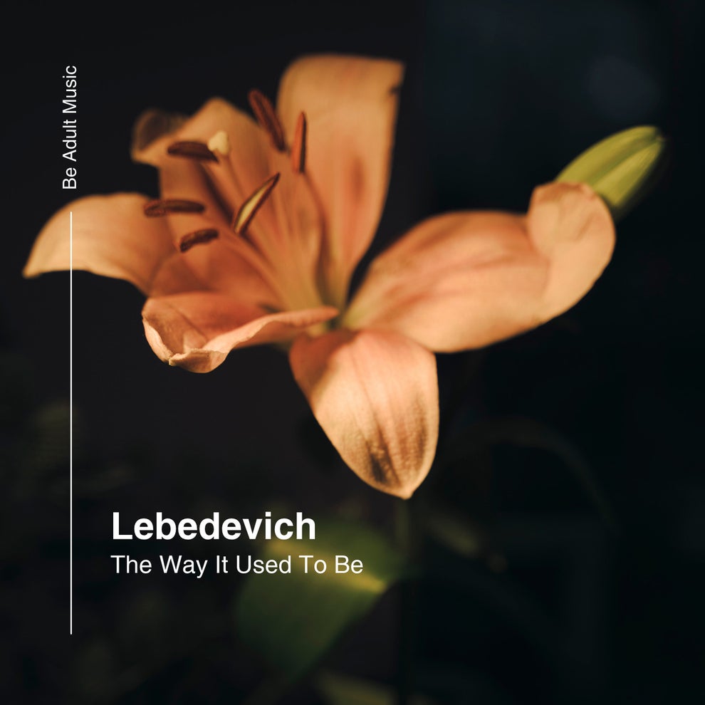 Lebedevich - The Way It Used To Be