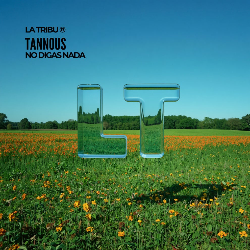 Tannous - No Digas Nada
