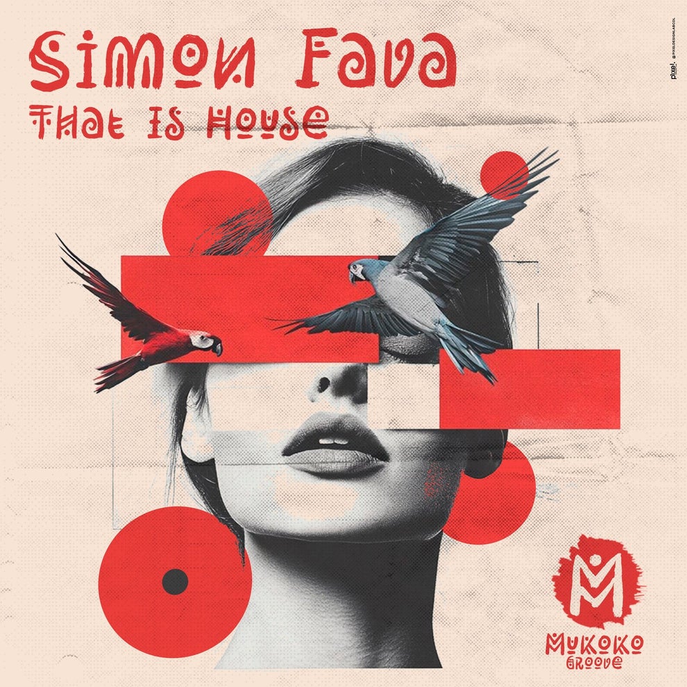 Simon Fava - That Is House