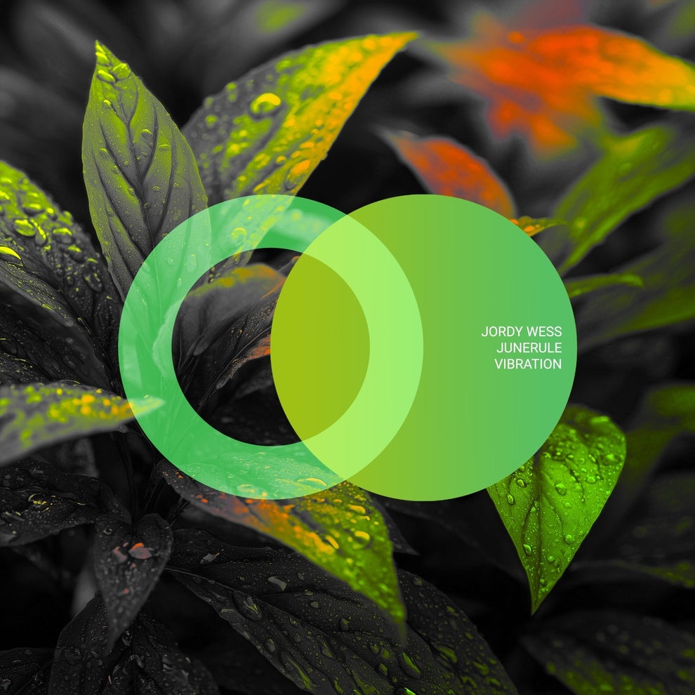 Junerule Jordy Wess - Vibration