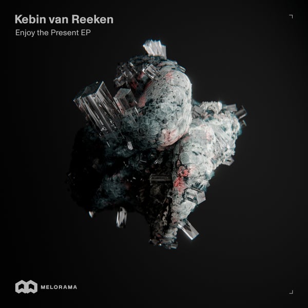 Kebin Van Reeken - Enjoy the Present